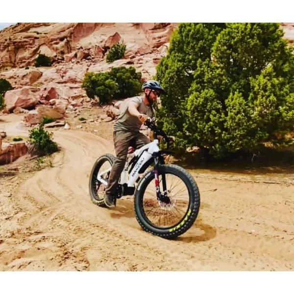 Bakcou Storm Full Suspension Fat Tire Electric Bike - Image 3