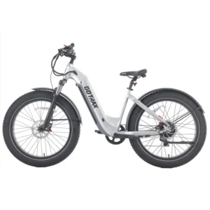 Tundra Fat Tire Electric Bike