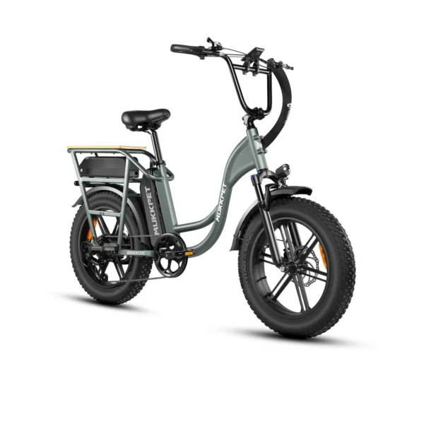 Mukkpet Breeze 750W 48V, Dual Battery, Step-Thru Cargo Utility Electric Bike - Image 2