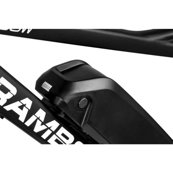 RAMBO The Savage 750W 48V Electric Mountain Bike Off-Road - Image 4