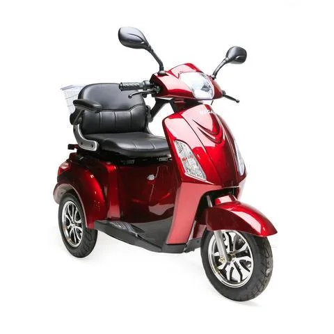 GIO Regal 48V Mobility