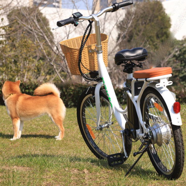 Nakto Elegance 22” City Cruiser Electric Bike - Image 3